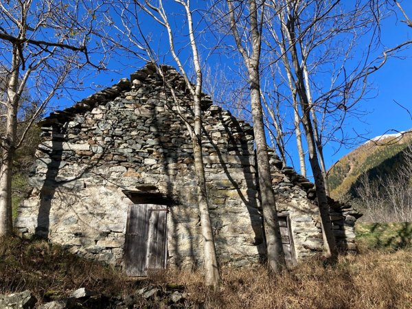 appartamento in vendita a Bognanco