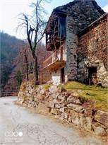 immagine annuncio 0 di 10