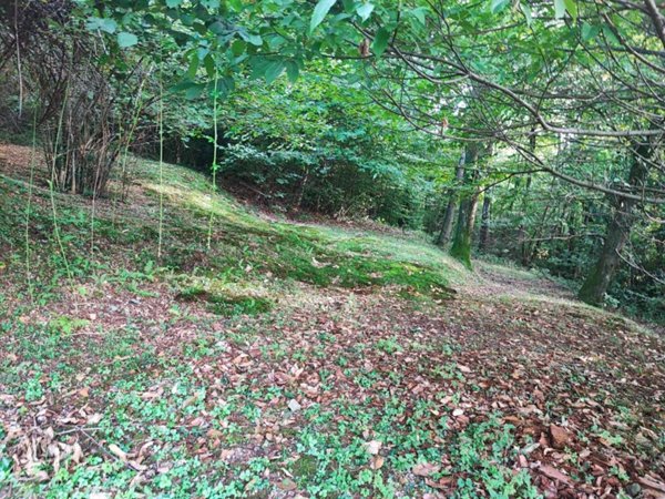 terreno agricolo in vendita a Brovello-Carpugnino