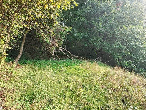 terreno edificabile in vendita a Brovello-Carpugnino