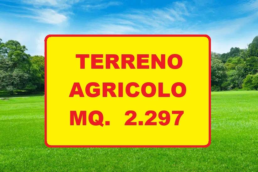 terreno agricolo in vendita a Cannobio in zona Traffiume