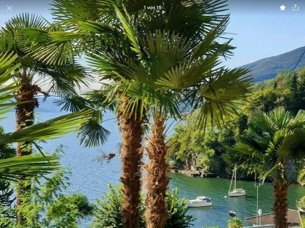 appartamento in vendita a Cannobio