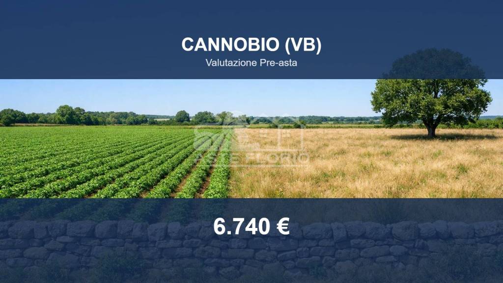 terreno agricolo in vendita a Cannobio in zona Sant'Agata