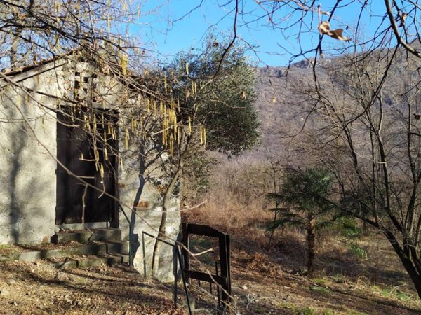 casa indipendente in vendita a Casale Corte Cerro
