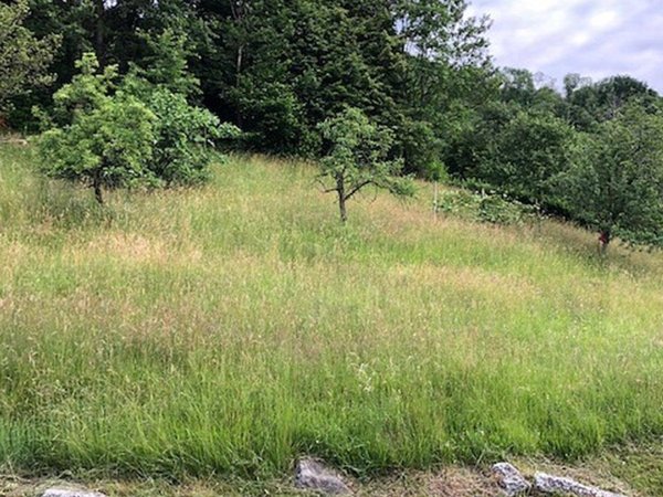 casa indipendente in vendita a Casale Corte Cerro in zona Montebuglio
