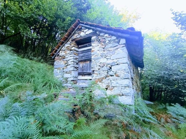 casa indipendente in vendita a Casale Corte Cerro in zona Arzo