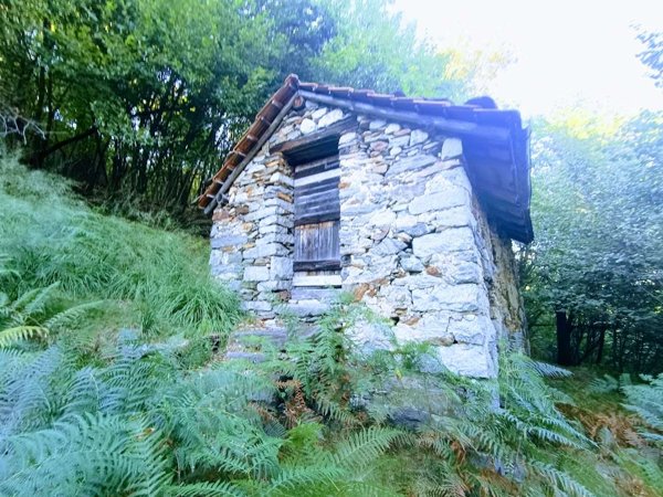 casa indipendente in vendita a Casale Corte Cerro in zona Arzo
