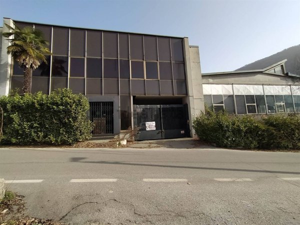 immagine annuncio 0 di 1