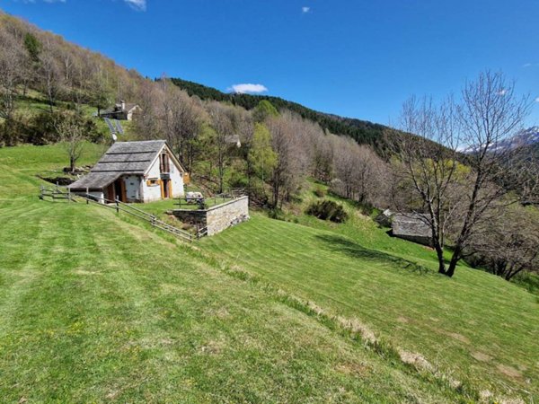 casa indipendente in vendita a Craveggia