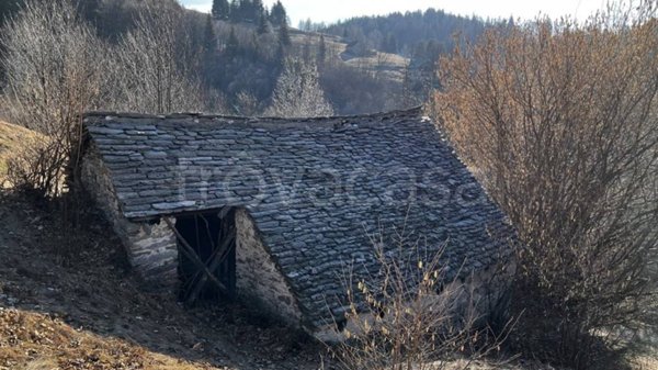 casa indipendente in vendita a Craveggia