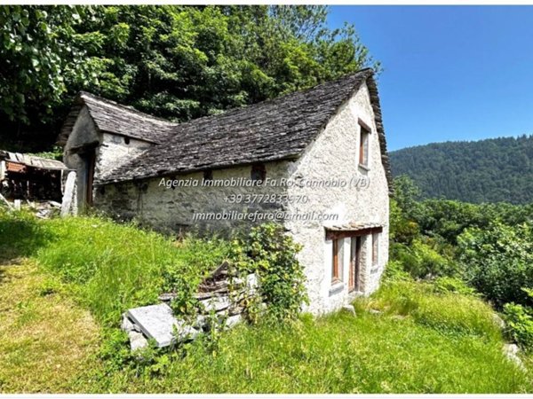 immagine annuncio 0 di 1