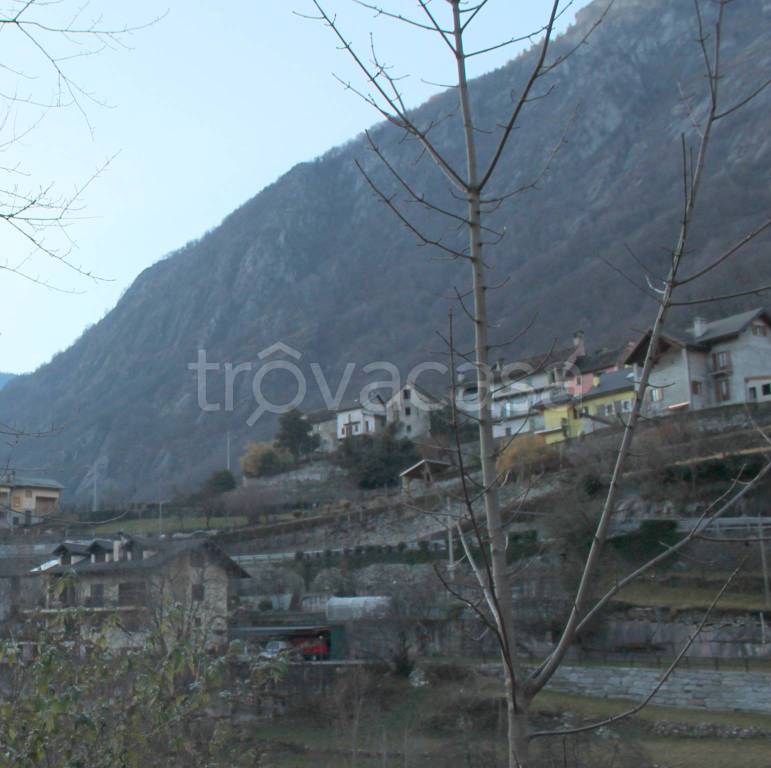 terreno agricolo in vendita a Crevoladossola
