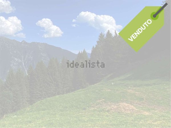 casa indipendente in vendita a Crodo