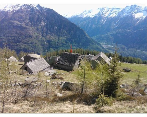 immagine annuncio 0 di 1