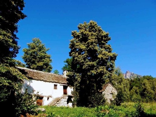 quadrivano in vendita a Crodo