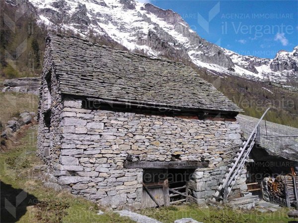 esavano in vendita a Crodo in zona Vegno