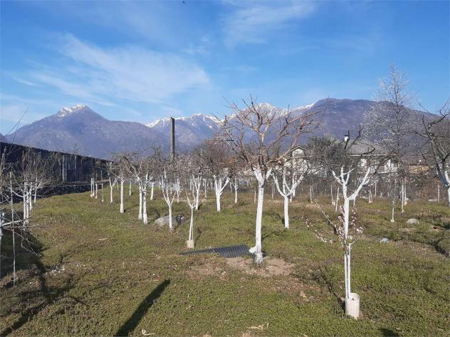 terreno agricolo in vendita a Domodossola