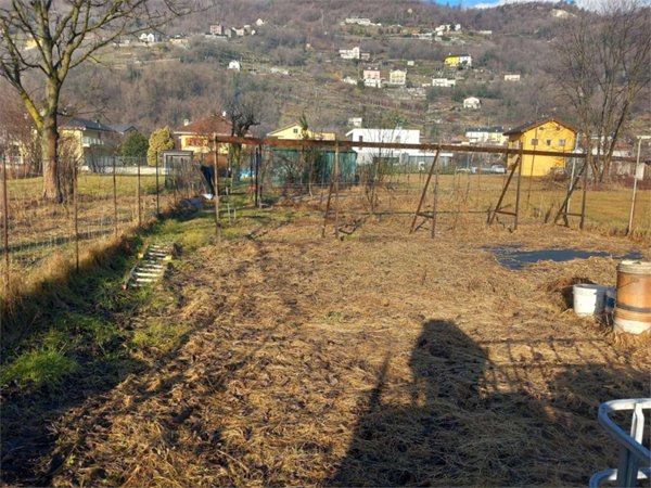 terreno agricolo in vendita a Domodossola