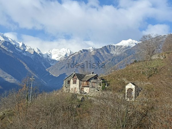 quadrivano in vendita a Domodossola