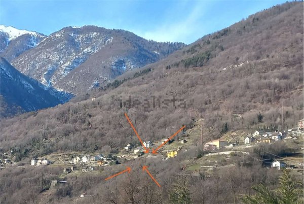 terreno agricolo in vendita a Domodossola