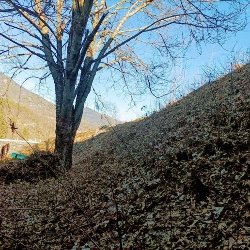 appartamento in vendita a Druogno
