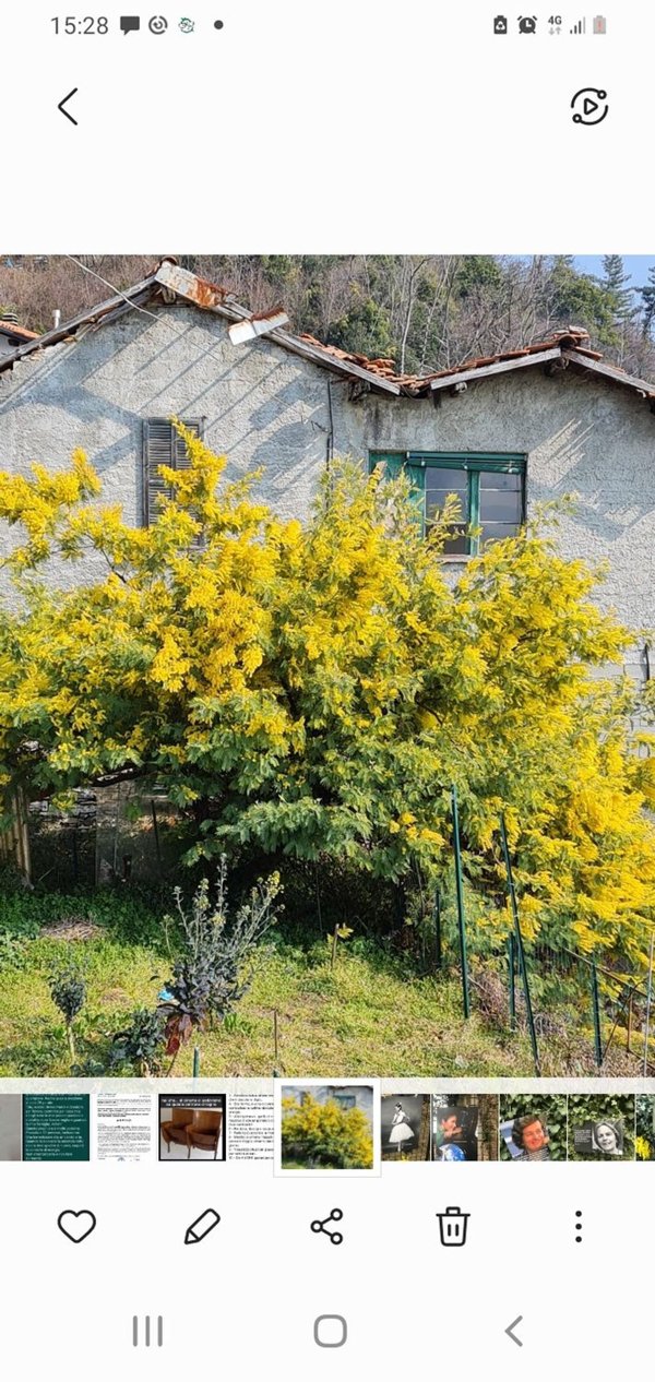casa indipendente in vendita a Ghiffa