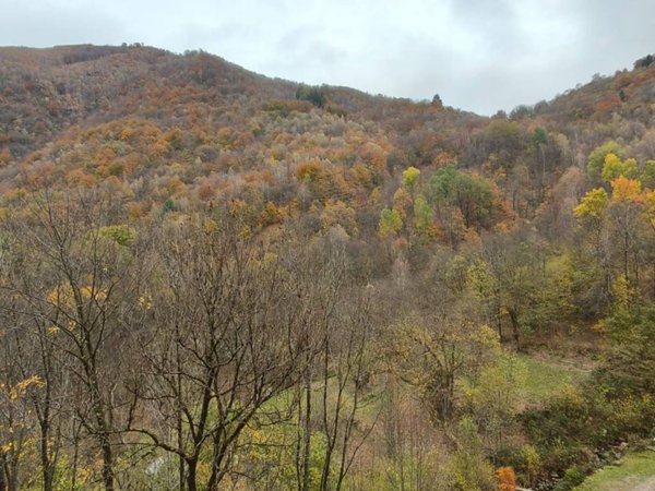 casa indipendente in vendita a Gurro