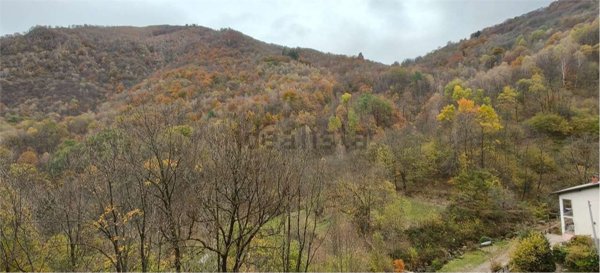 casa indipendente in vendita a Gurro