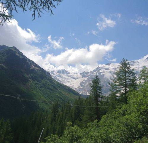 appartamento in vendita a Macugnaga in zona Staffa