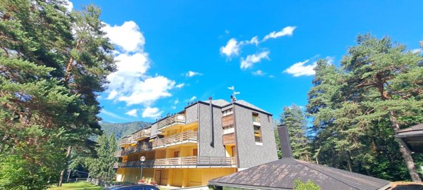 appartamento in vendita a Malesco