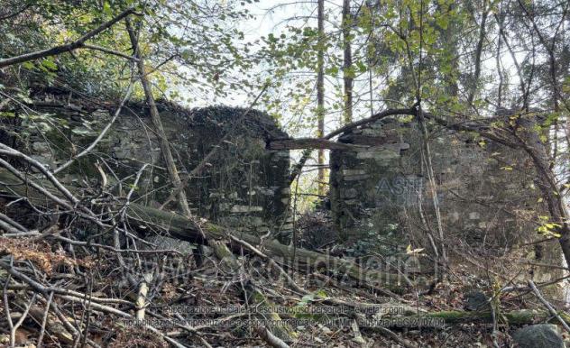 terreno agricolo in vendita a Mergozzo in zona Bracchio