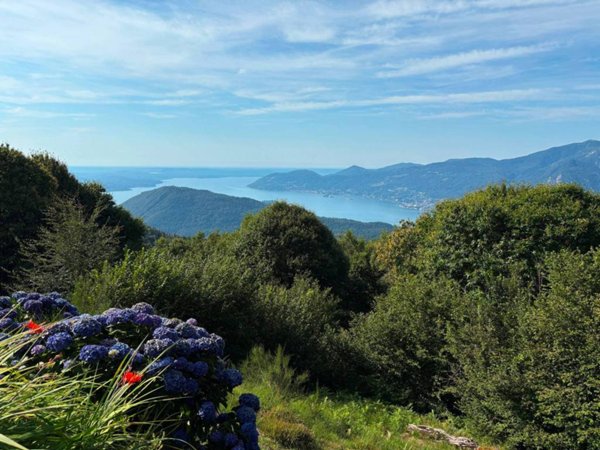 casa indipendente in vendita a Miazzina