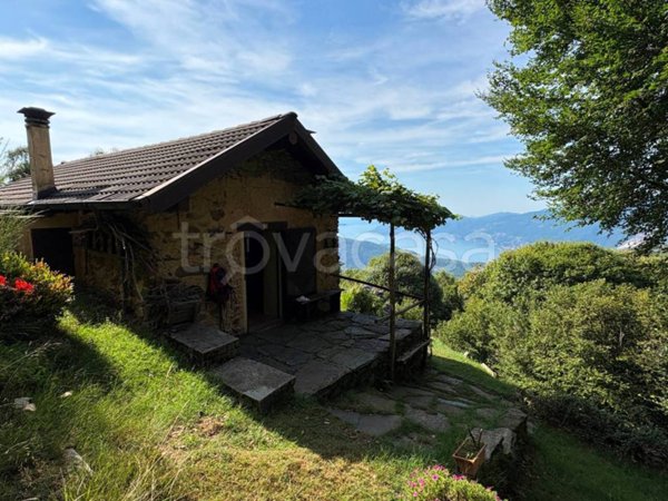 appartamento in vendita a Miazzina