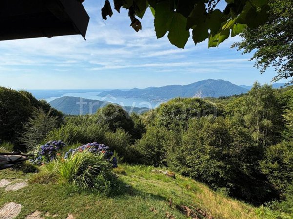 appartamento in vendita a Miazzina