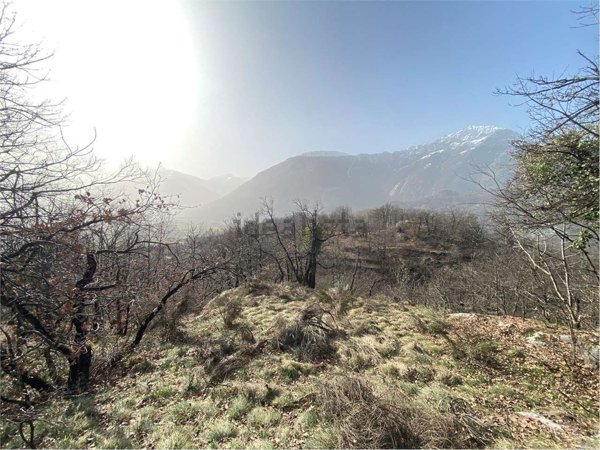 terreno agricolo in vendita a Montecrestese