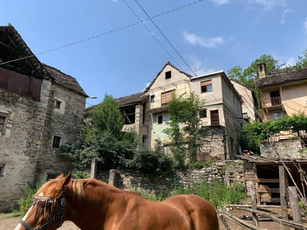 appartamento in vendita a Montecrestese