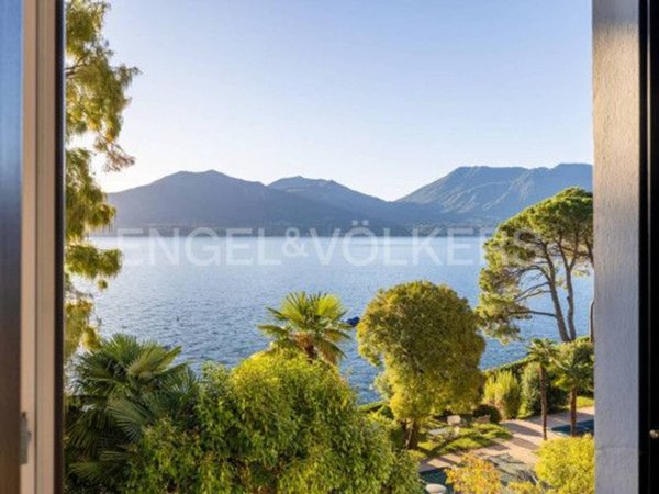 immagine annuncio 0 di 13