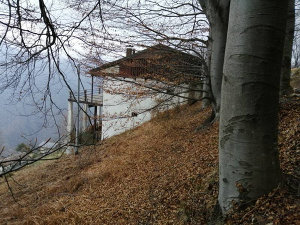 casa indipendente in vendita ad Omegna