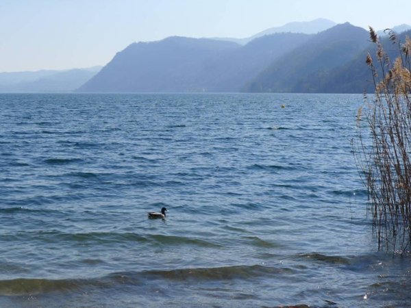 casa indipendente in vendita ad Omegna