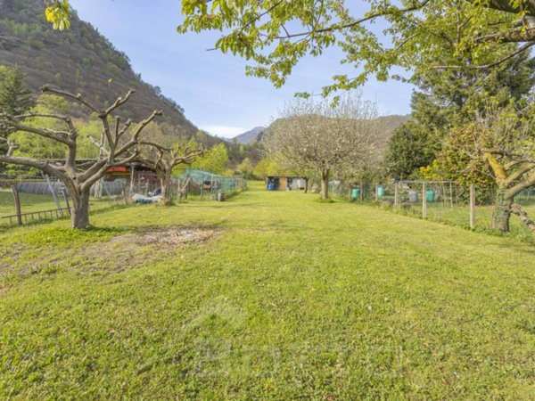 terreno agricolo in vendita ad Omegna in zona Cireggio