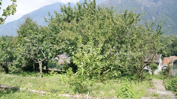 casa indipendente in vendita ad Ornavasso in zona Migiandone