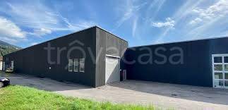 casale in vendita a Piedimulera