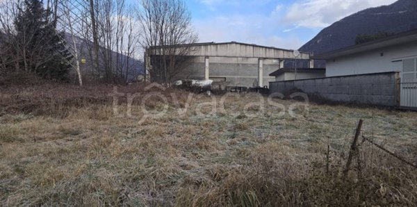 terreno agricolo in vendita a Piedimulera