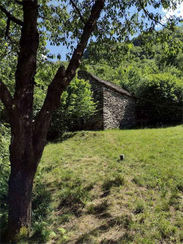 casa indipendente in vendita a Pieve Vergonte