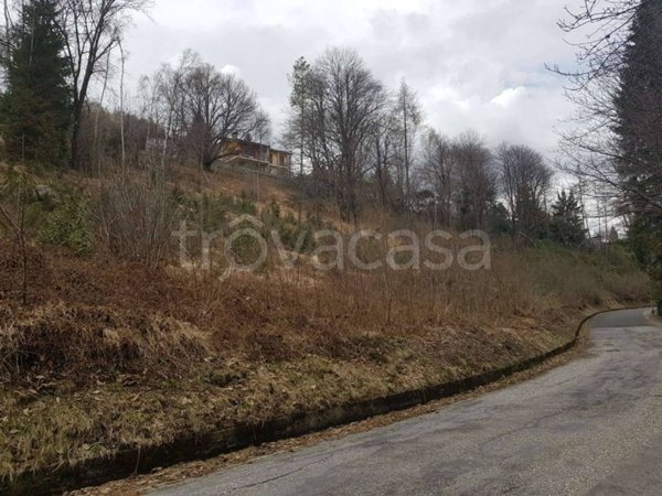 terreno agricolo in vendita a Premeno