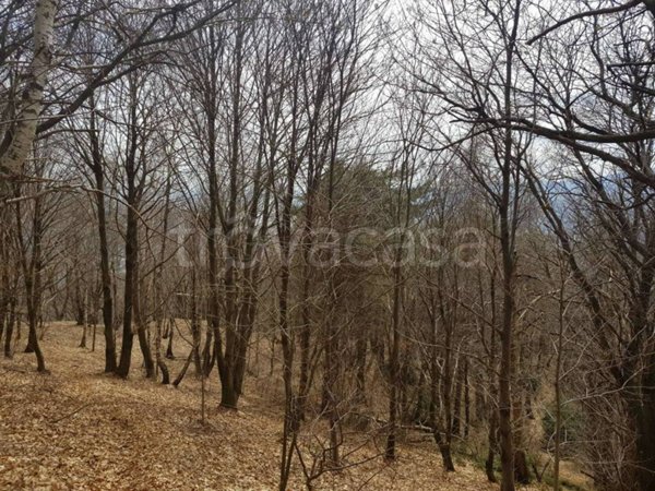 terreno agricolo in vendita a Premeno