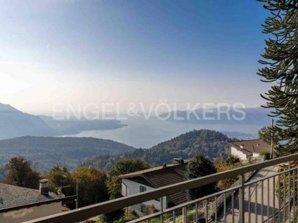 immagine annuncio 0 di 15