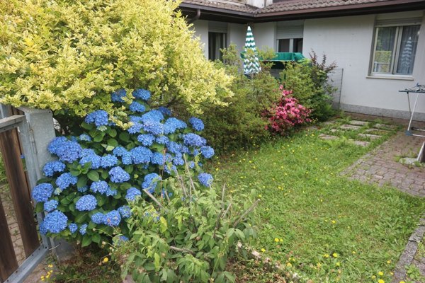 appartamento in vendita a Premeno in zona Pian di Sole