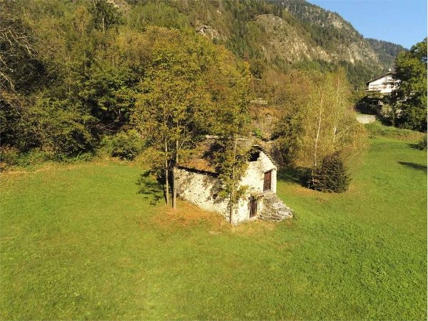 casa indipendente in vendita a Premia