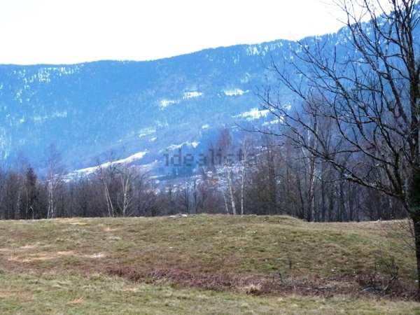 terreno edificabile in vendita a Premia in zona Crego
